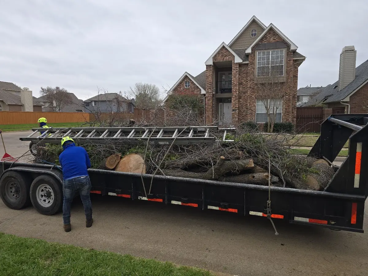 Expert Tree Fertilization with proper safety equipment in Fleetville